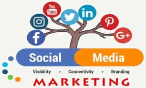 Read more about the article How to reach leads with Social Media Marketing Strategies that work in 2024